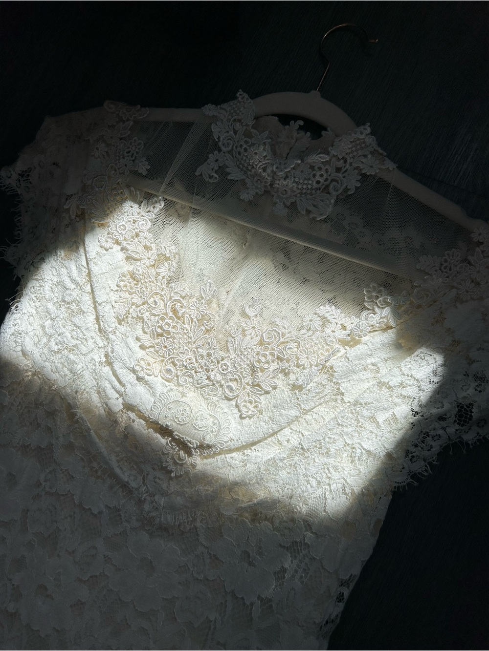 VTG Drop Waist Romantic Lace Dress